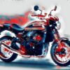 Z900RS Georg
